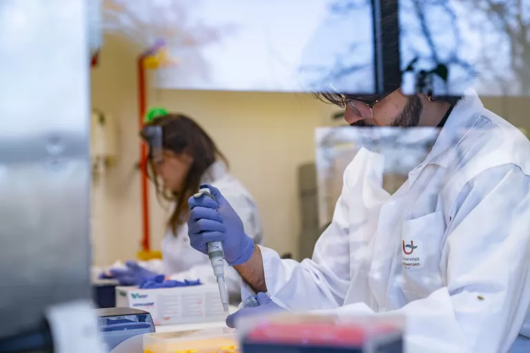 Lab work